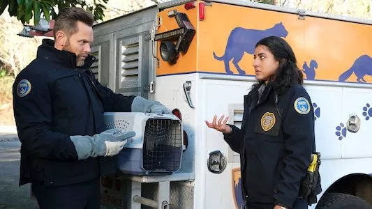 Image Animal Control 4