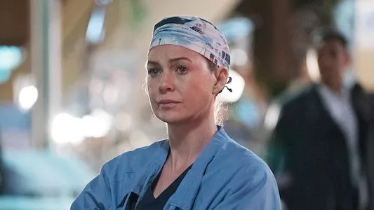 Image Anatomia de Grey 24
