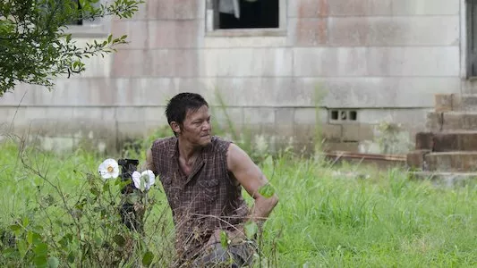 Image The Walking Dead 4