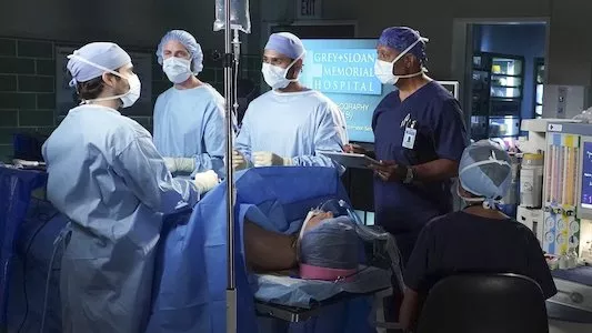 Image Anatomia de Grey 4
