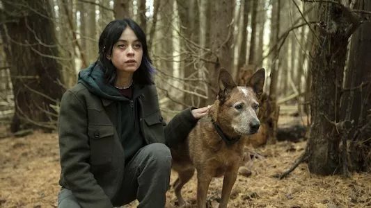 Image Orphan Black: Echoes 7