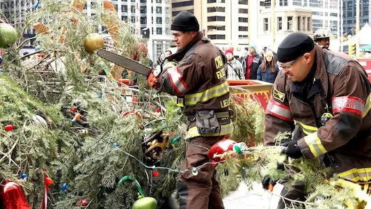 Image Chicago Fire 9