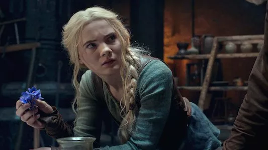 Image The Witcher 5