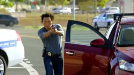 Image Hawai 5.0 14
