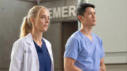 Image Anatomia de Grey 1