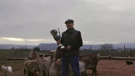 Image Lo de Évole 4