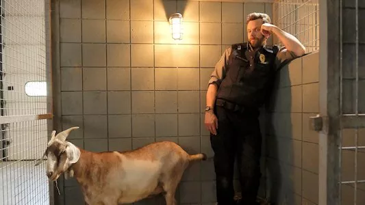 Image Animal Control 3