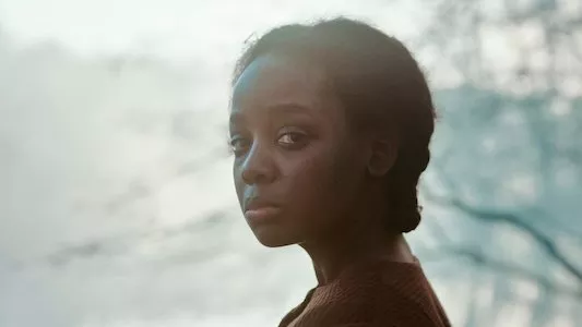 Image The Underground Railroad 1