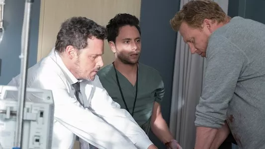 Image Anatomia de Grey 4