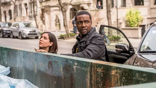 Image Blindspot 21