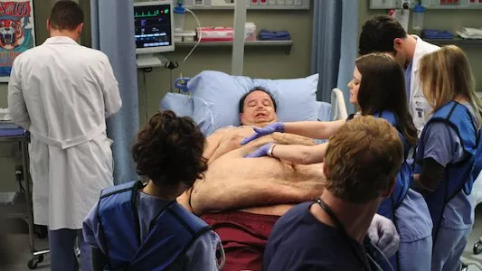 Image Anatomia de Grey 21
