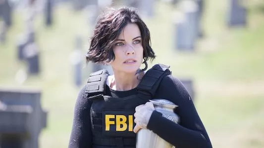Image Blindspot 5