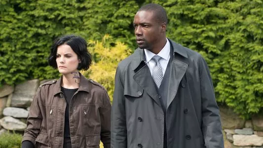 Image Blindspot 8