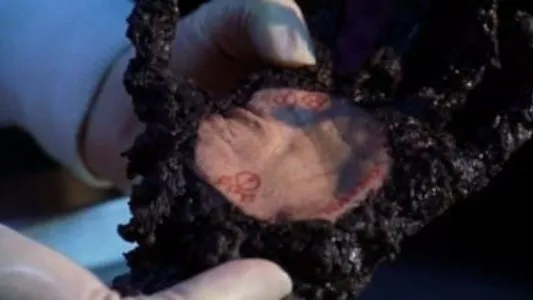 Image Smallville 22