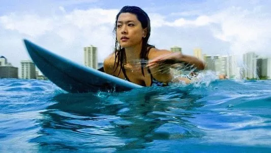 Image Hawai 5.0 3