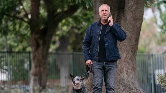 Image Bosch: Legacy 9