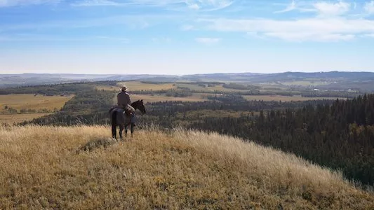 Image Heartland 3