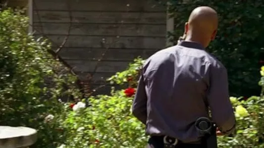 Image Mentes criminales 24
