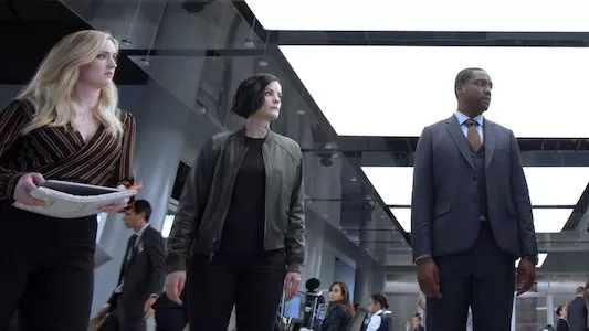 Image Blindspot 11