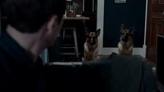 Image Hudson & Rex 3