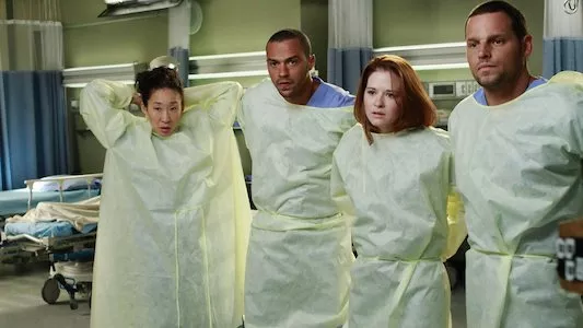 Image Anatomia de Grey 2