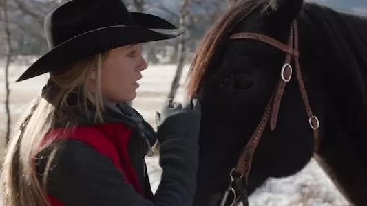 Image Heartland 5
