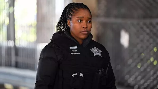 Image Chicago P.D. 14