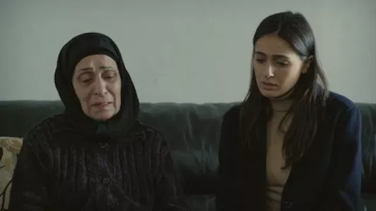 Image Fauda 11