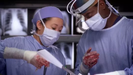 Image Anatomia de Grey 6
