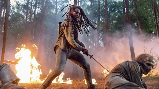Image The Walking Dead 1