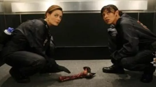 Image Bones 6