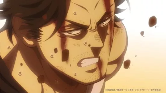Image Black Clover 166