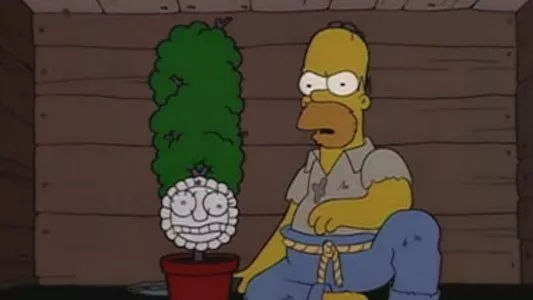 Image Los Simpsons 22