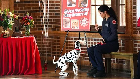 Image Chicago Fire 11
