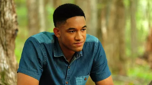 Image Legacies 3