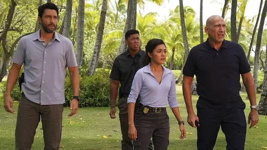Image NCIS Hawaii 8