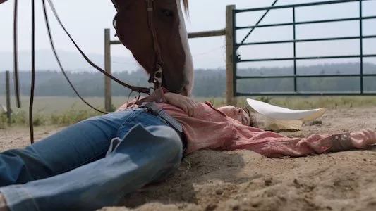 Image Heartland 9