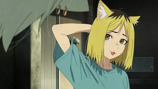 Image Chainsmoker Cat 2
