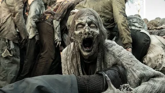 Image The Walking Dead 24