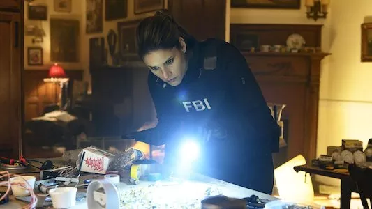 Image FBI 15